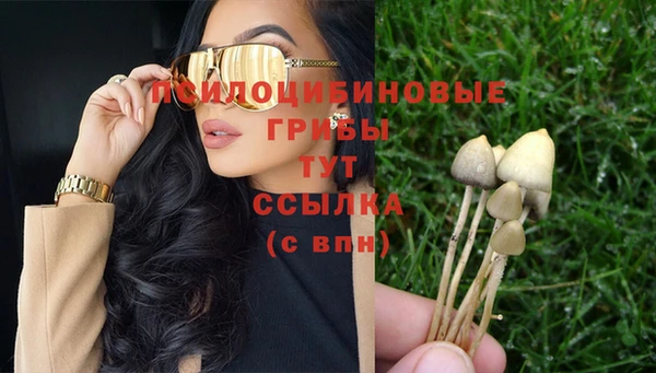 mix Абаза