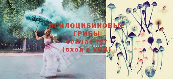 mix Абаза