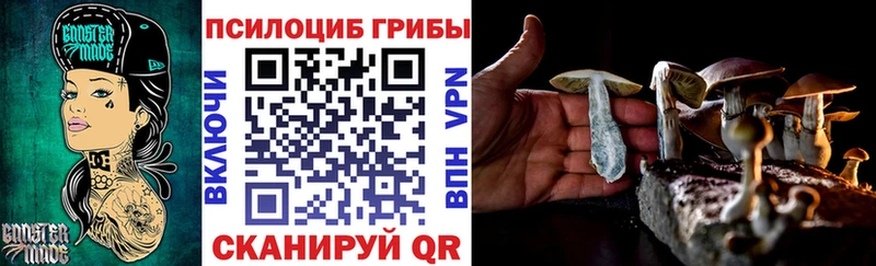 Галлюциногенные грибы Psilocybine cubensis  Донецк 